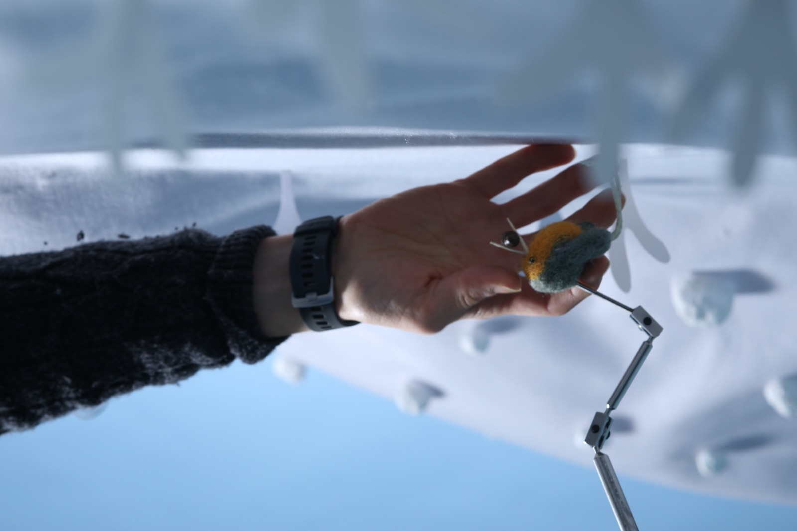 What Does Stop-Motion Actually Cost? A Producer's Guide