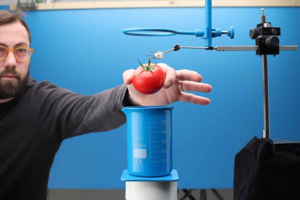 Test_0012 copy Subway tomato test